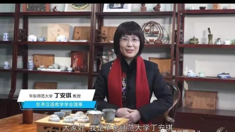 汉教讲说|丁安琪《国际汉语教学的研究内容》
