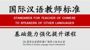 汉语教学基础能力强化提升课程